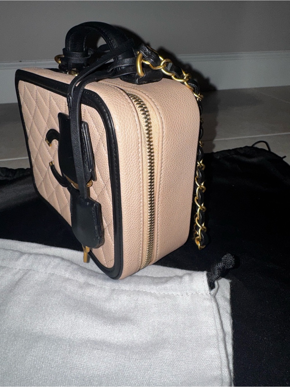 CHANEL Medium Quilted Vanity Crossbody Bag with Gold Hardware - Picture 6 of 11